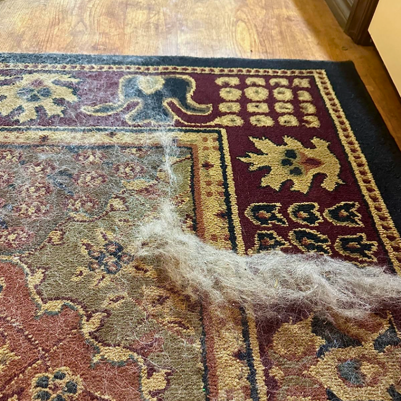 pet hair remover+