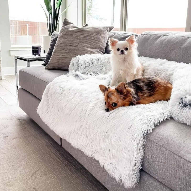 calming furniture protector