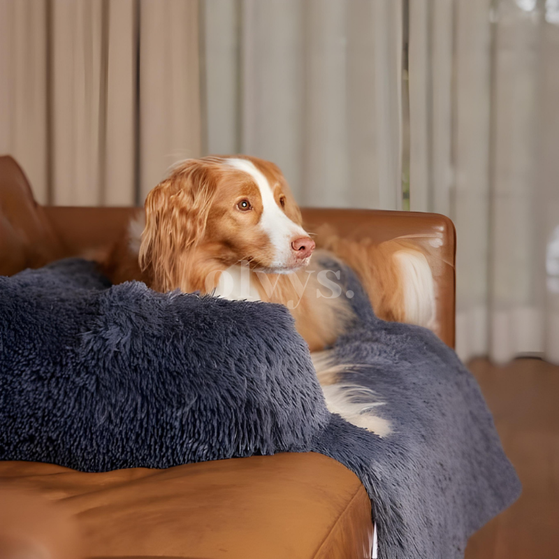calming furniture protector