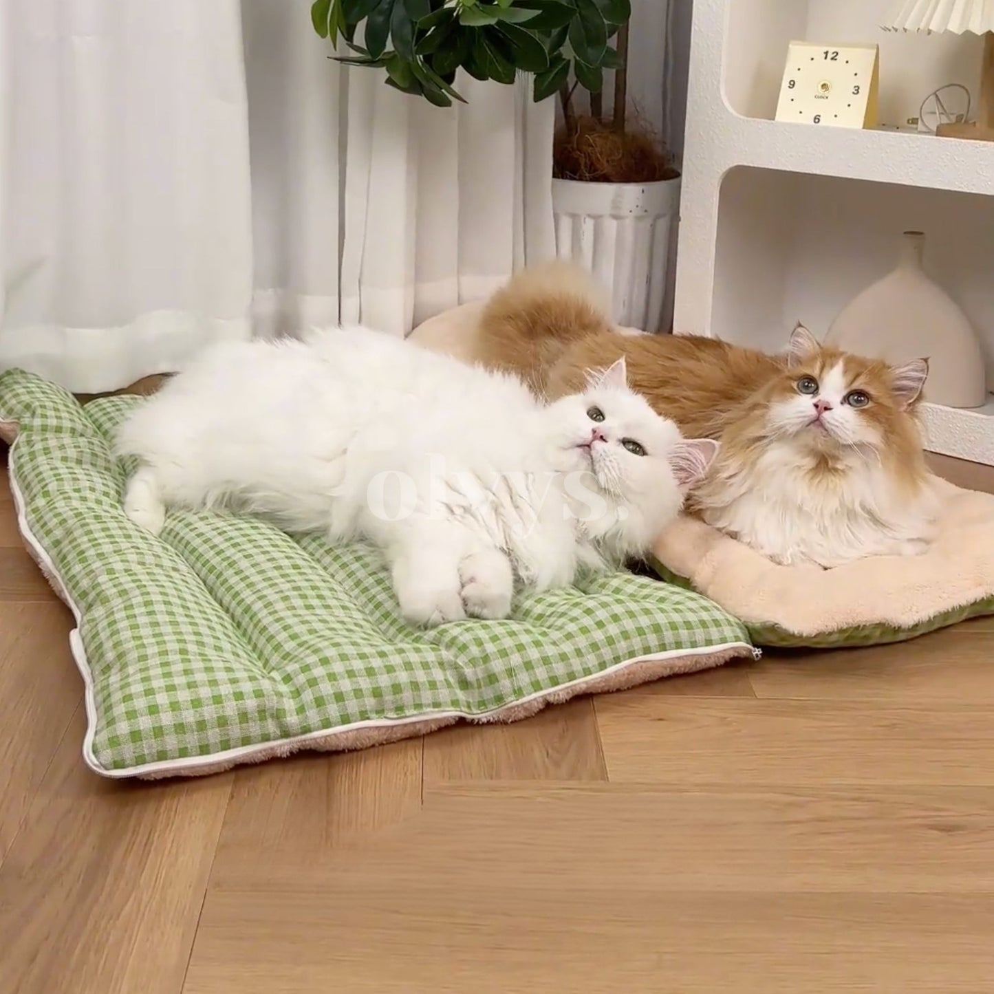 calming cat cave