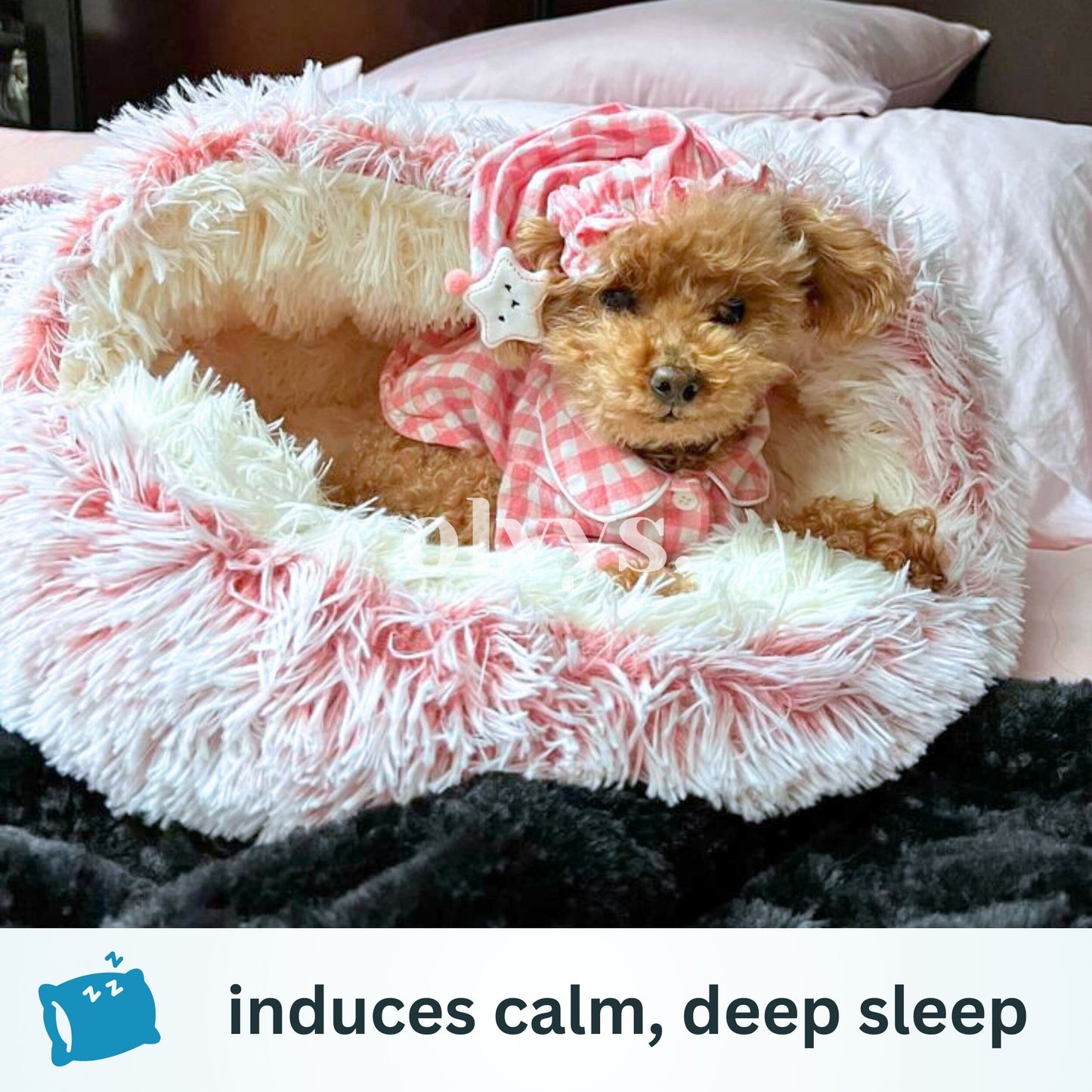 cozy cocoon - pet bed