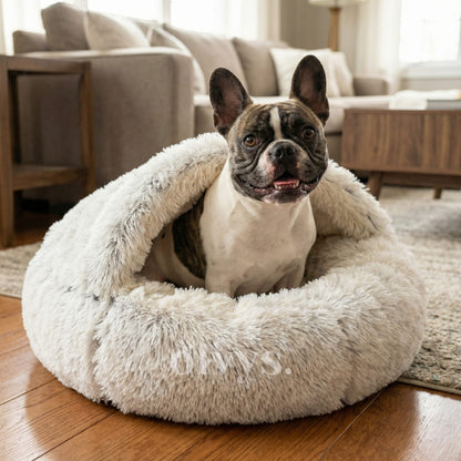 cozy cocoon - pet bed