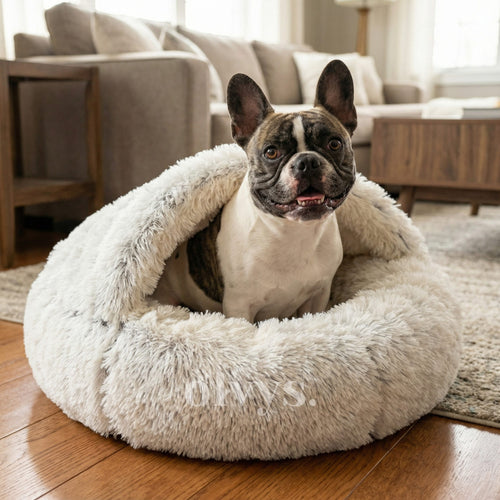 cozy cocoon - pet bed