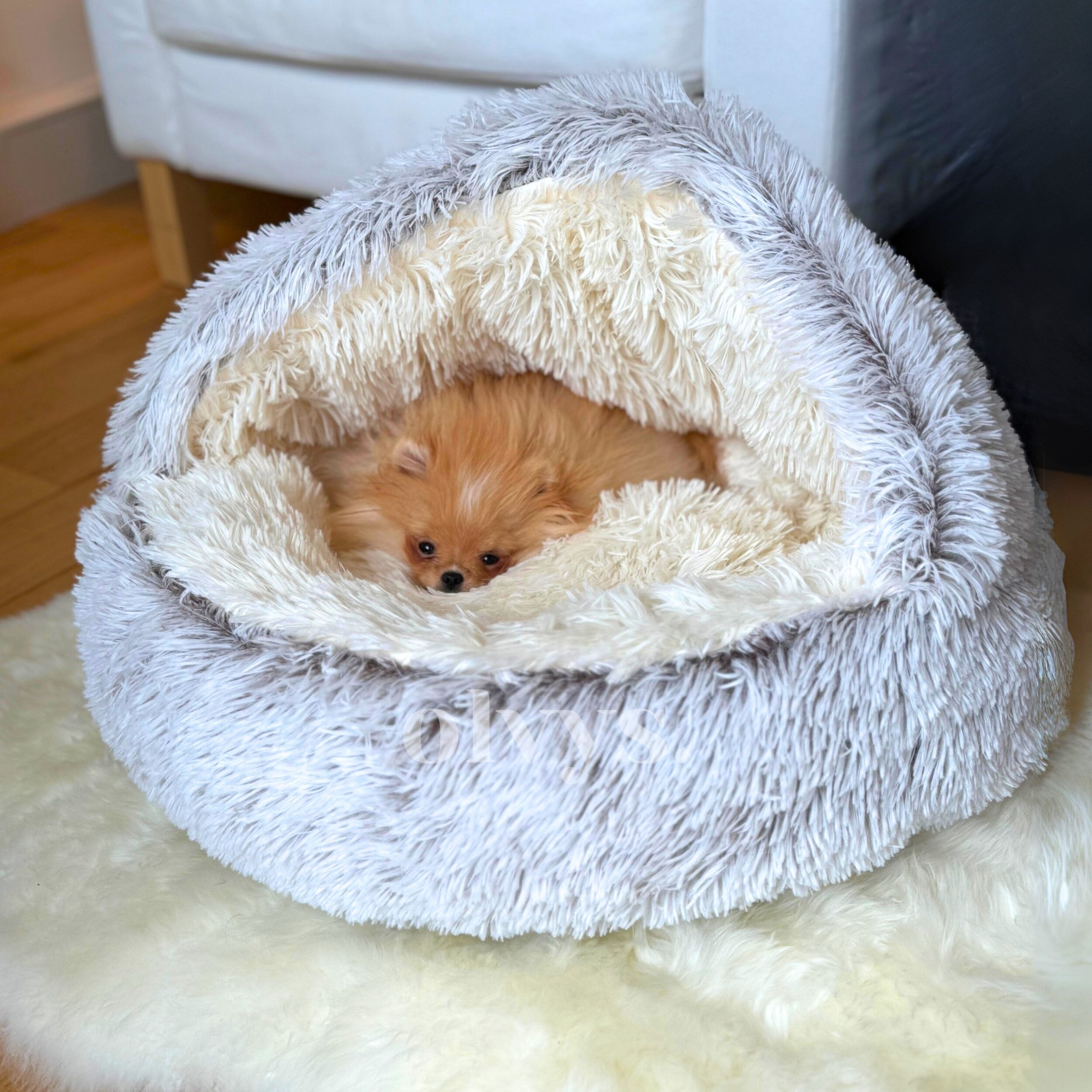 Cosy dog bed hotsell